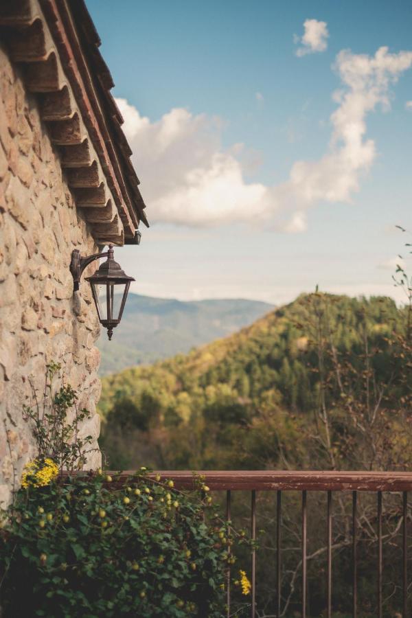 Gospodarstwo wiejskie Mas Vilar, Feel At Arbúcies
